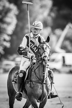Veuve Clicquot Gold Cup 2013