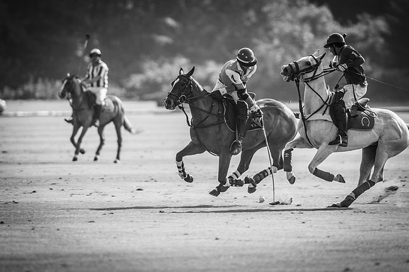 Veuve Clicquot Gold Cup 2013