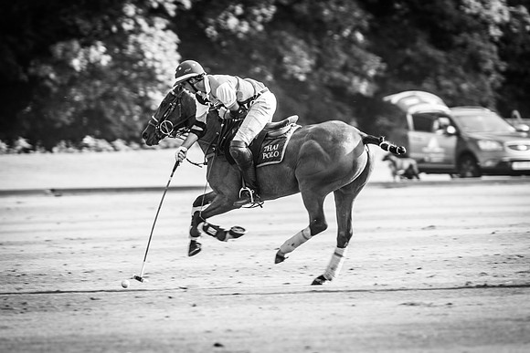 Veuve Clicquot Gold Cup 2013