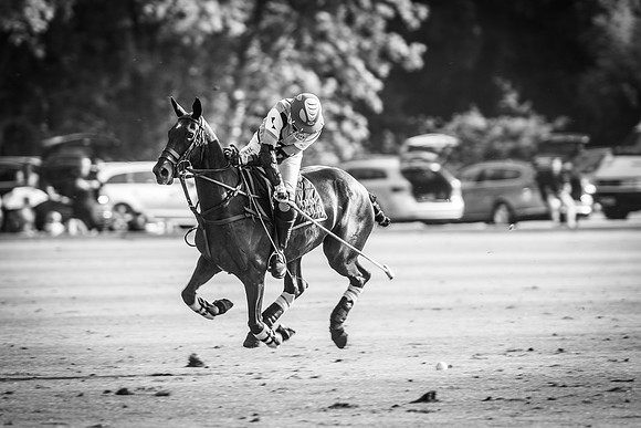 Veuve Clicquot Gold Cup 2013