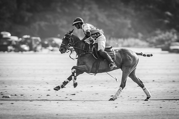Veuve Clicquot Gold Cup 2013