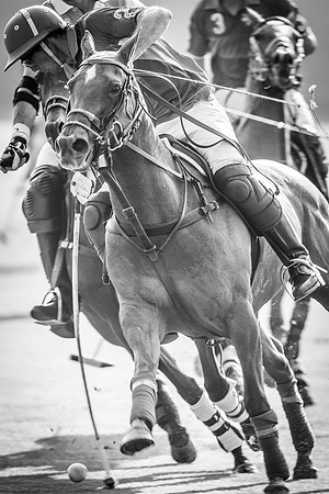Veuve Clicquot Gold Cup 2013