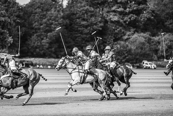 Veuve Clicquot Gold Cup 2013