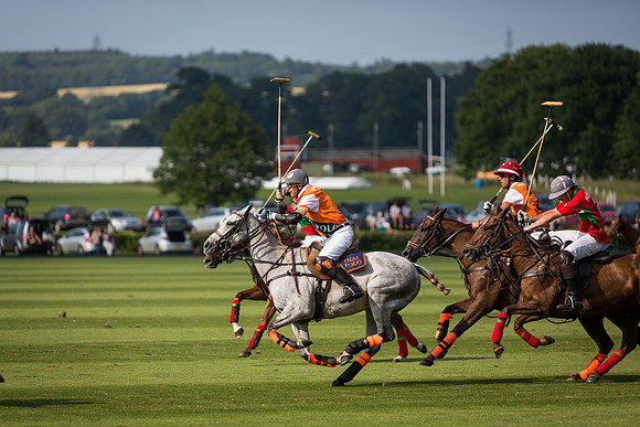 Veuve Clicquot Gold Cup 2013