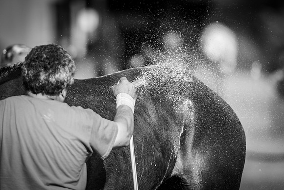 Veuve Clicquot Gold Cup 2013
