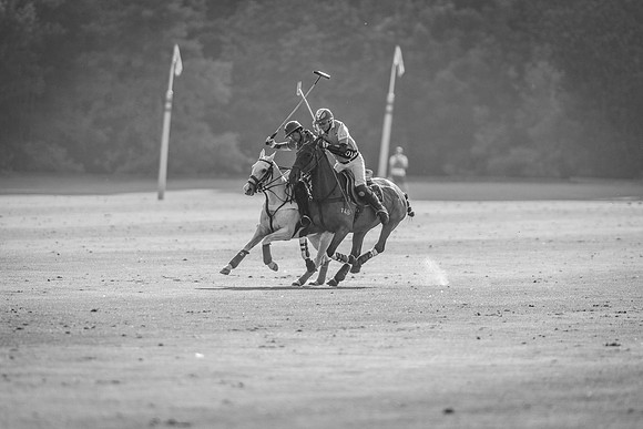 Veuve Clicquot Gold Cup 2013