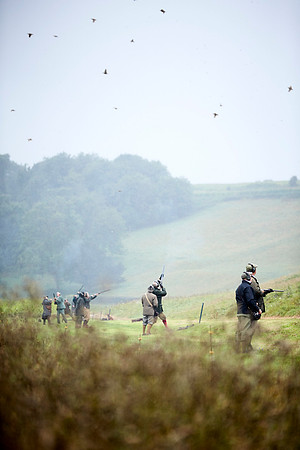 Goodwood Estate partridge shoot