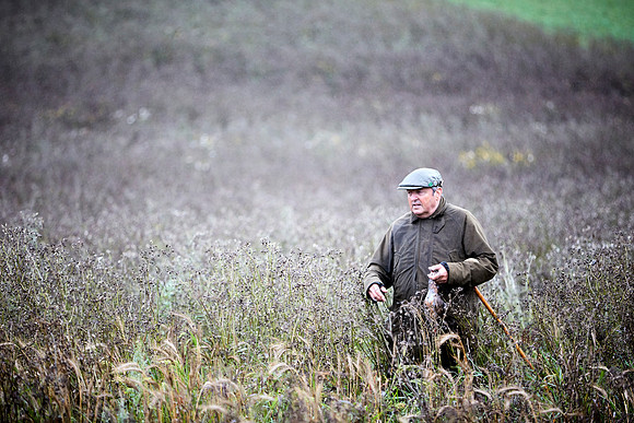 Goodwood Estate partridge shoot