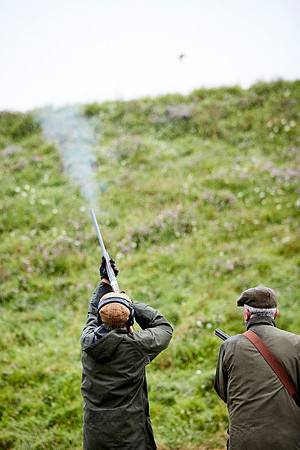Goodwood Estate partridge shoot