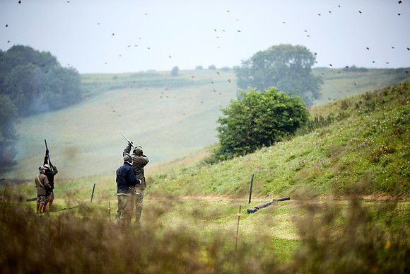 Goodwood Estate partridge shoot