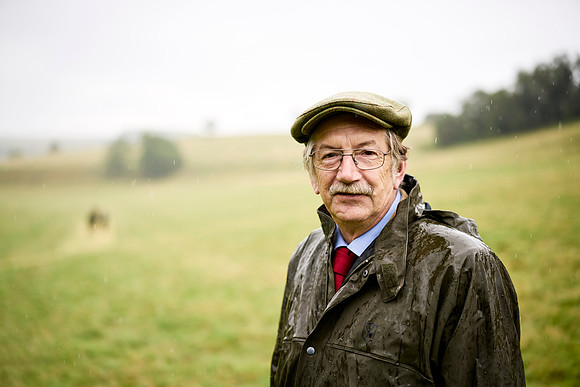 Goodwood Estate partridge shoot