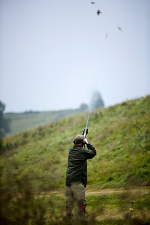 Goodwood Estate partridge shoot