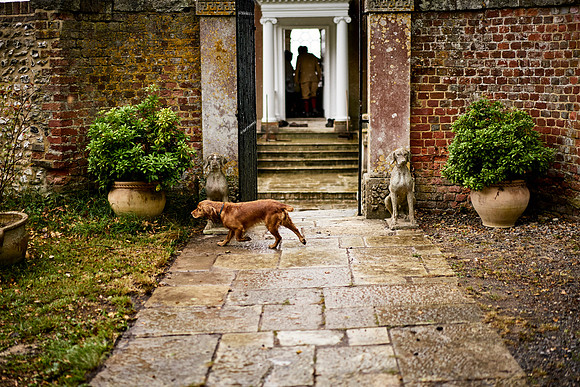 Goodwood Estate partridge shoot