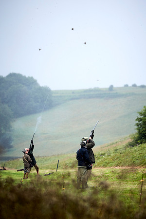 Goodwood Estate partridge shoot