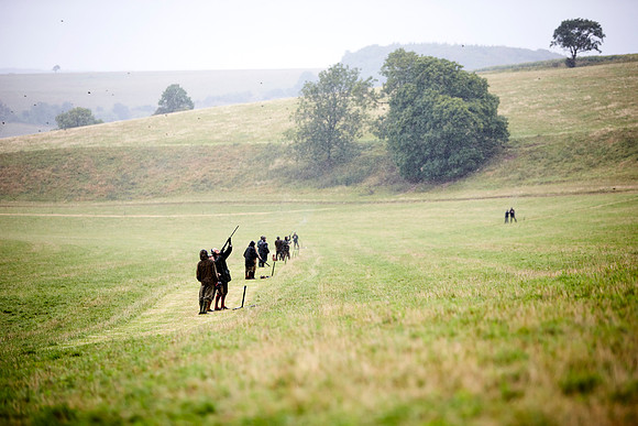 Goodwood Estate partridge shoot