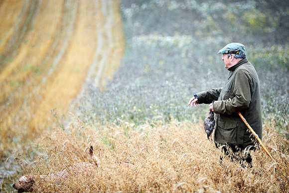 Goodwood Estate partridge shoot