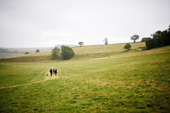 Goodwood Estate partridge shoot