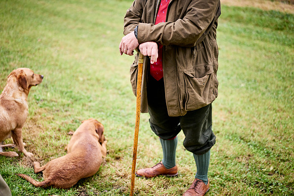 Goodwood Estate partridge shoot