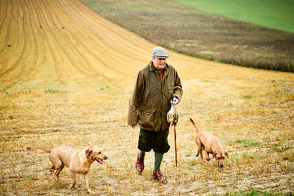 Goodwood Estate partridge shoot