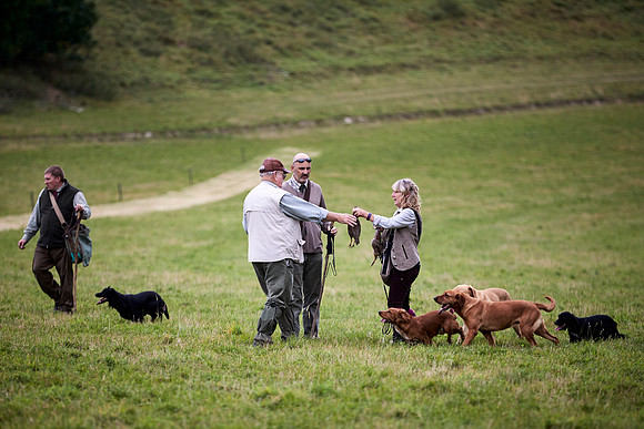 Goodwood Estate partridge shoot
