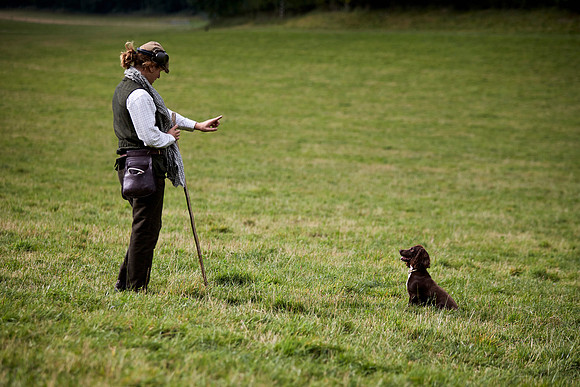 Goodwood Estate partridge shoot