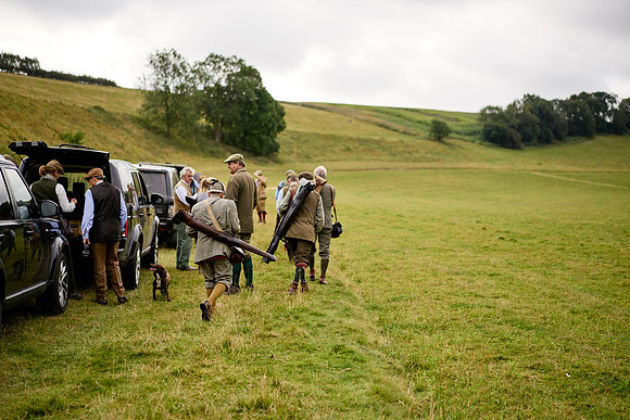 Goodwood Estate partridge shoot