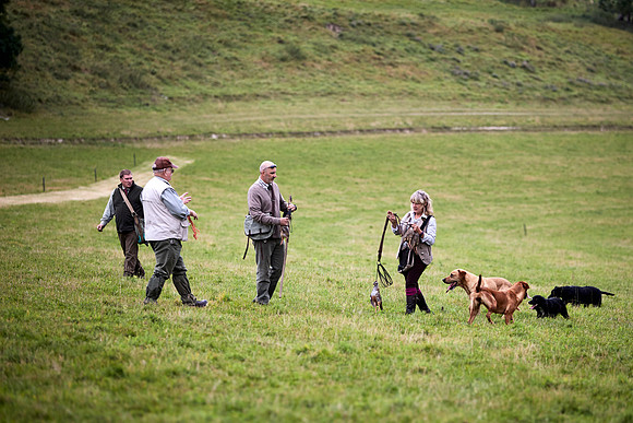 Goodwood Estate partridge shoot