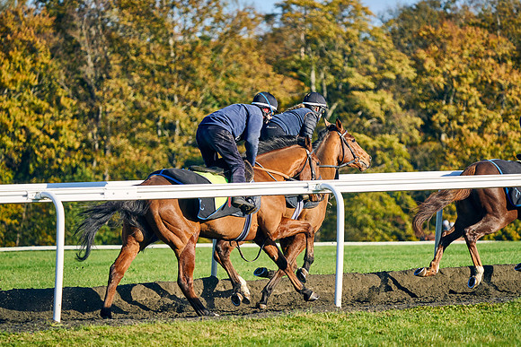 2021-11-02-Dominic-James-02626