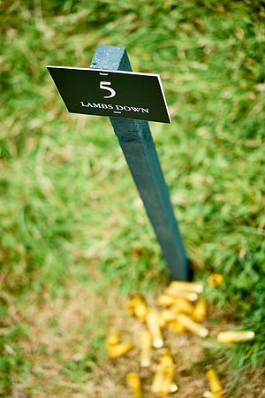 Goodwood Estate partridge shoot