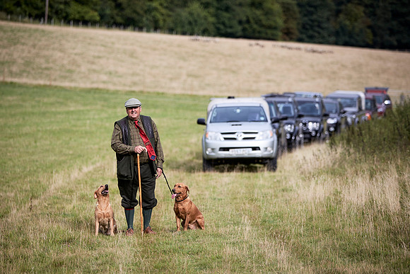 Goodwood Estate partridge shoot