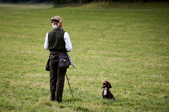 Goodwood Estate partridge shoot