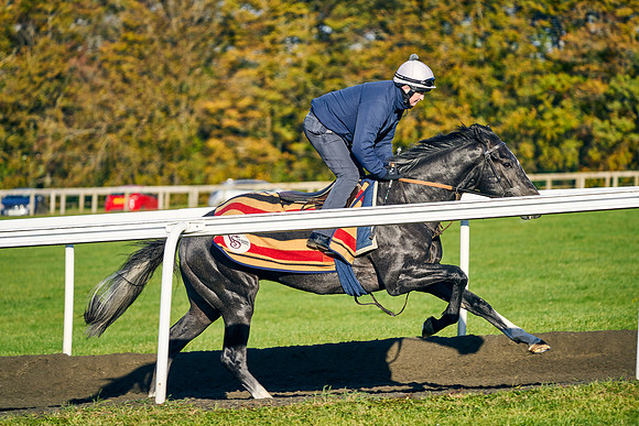 2021-11-02-Dominic-James-02404