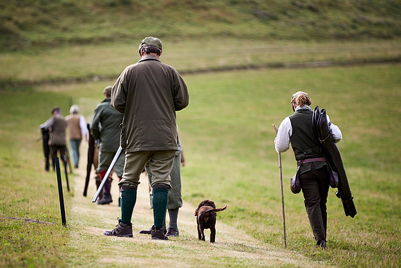 Goodwood Estate partridge shoot