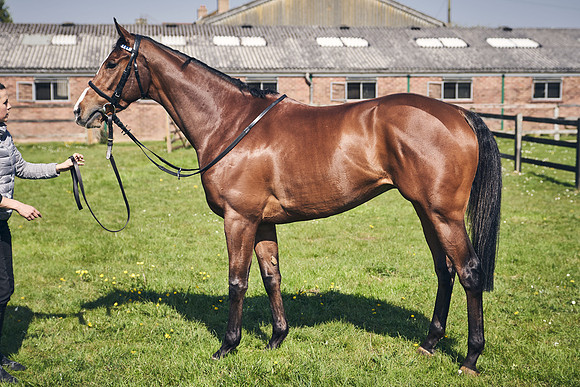 GEORGE-BOUGHEY-RACING-DJ-3604