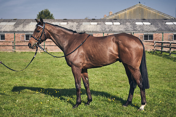 GEORGE-BOUGHEY-RACING-DJ-2201
