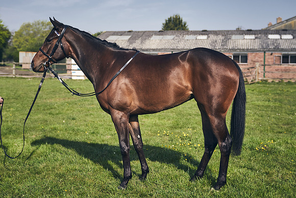 GEORGE-BOUGHEY-RACING-DJ-2160