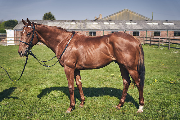 GEORGE-BOUGHEY-RACING-DJ-3689