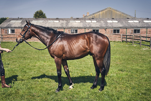 GEORGE-BOUGHEY-RACING-DJ-3735 1