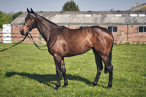 GEORGE-BOUGHEY-RACING-DJ-2140