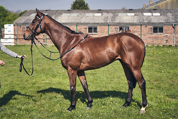GEORGE-BOUGHEY-RACING-DJ-3521