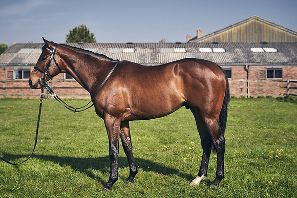 GEORGE-BOUGHEY-RACING-DJ-2188