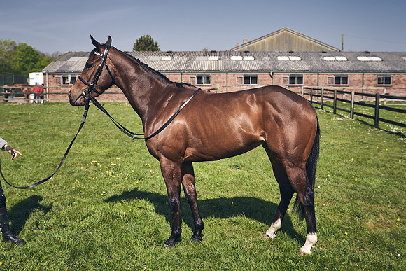 GEORGE-BOUGHEY-RACING-DJ-3596
