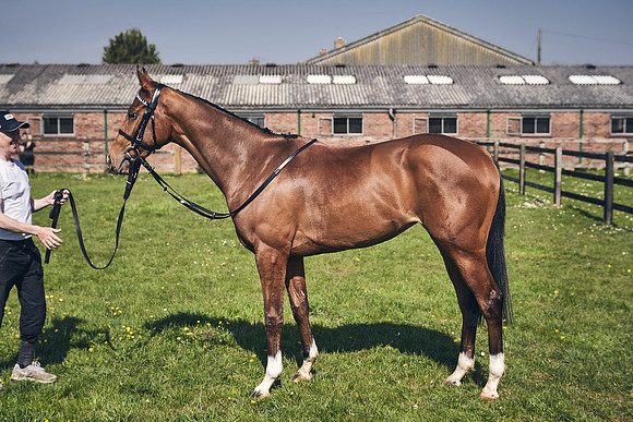 GEORGE-BOUGHEY-RACING-DJ-3640