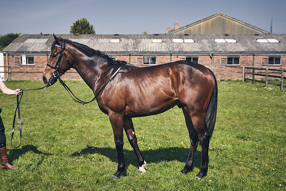 GEORGE-BOUGHEY-RACING-DJ-3730 1