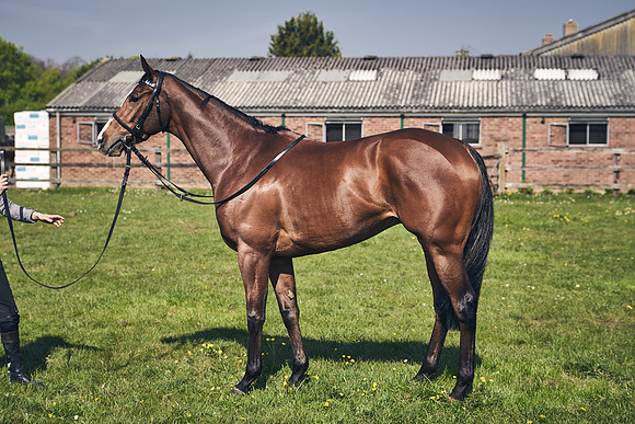 GEORGE-BOUGHEY-RACING-DJ-3617