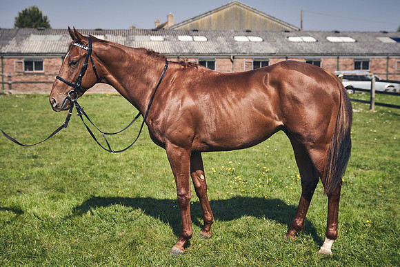 GEORGE-BOUGHEY-RACING-DJ-3683