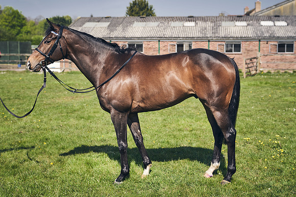 GEORGE-BOUGHEY-RACING-DJ-3558