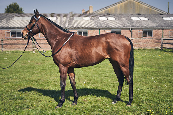 GEORGE-BOUGHEY-RACING-DJ-3494