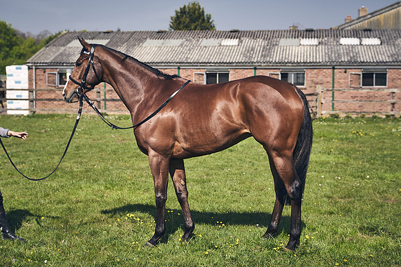 GEORGE-BOUGHEY-RACING-DJ-3618