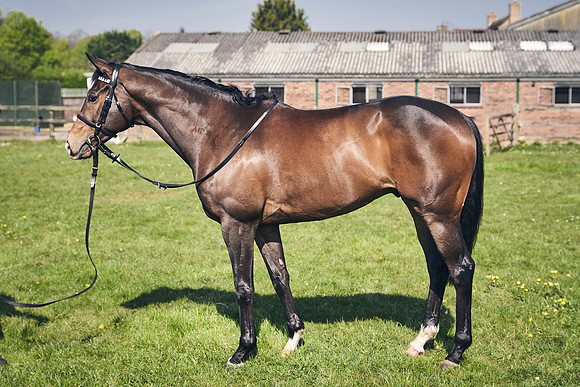 GEORGE-BOUGHEY-RACING-DJ-3555